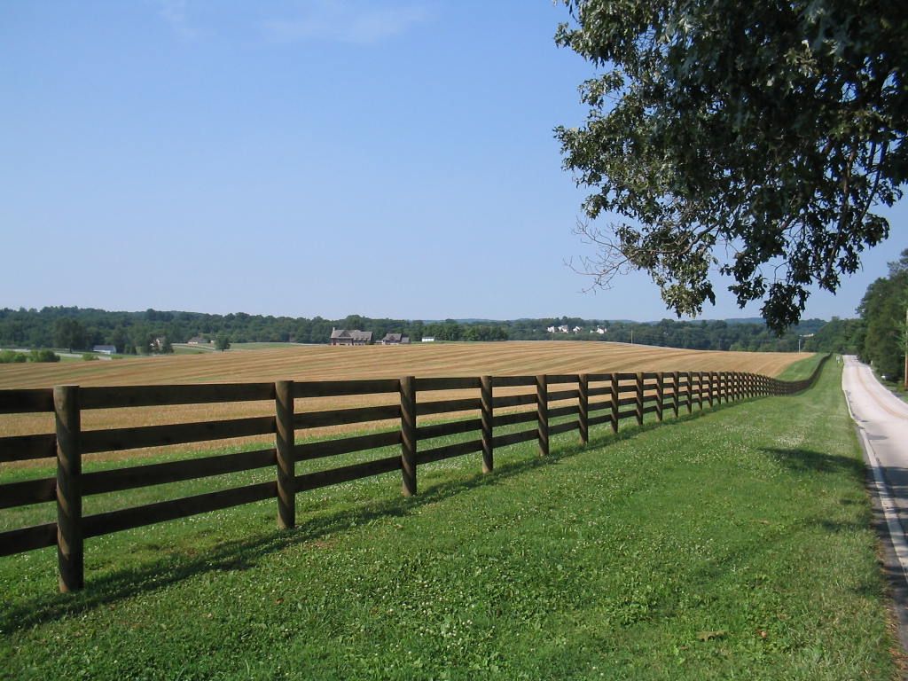 Timber Fencing and Its Different Aspects