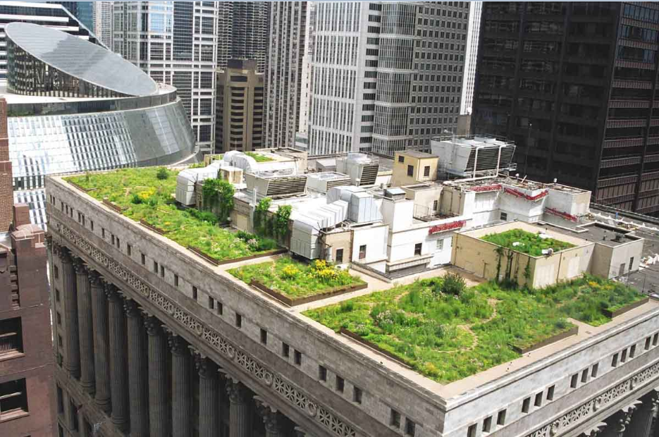 Why A Roof Is Called Green Roof And What Are Its Benefits?
