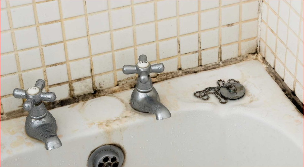 What Are The Most Common Reasons Of Shower Leaks Brisbane?