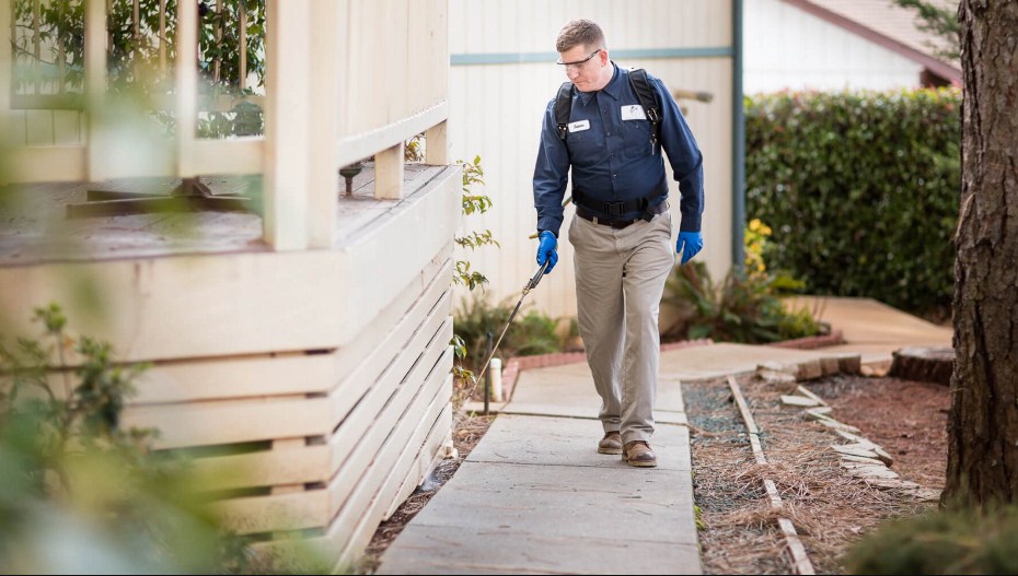 What are Exclusive Benefits of Pest Control Services?