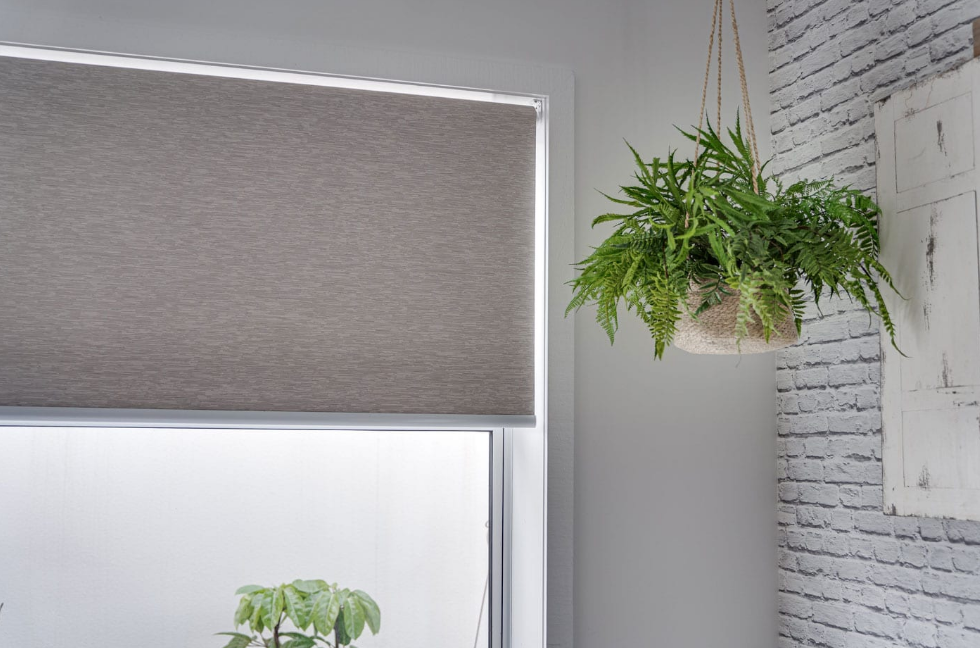 Roller blinds Auckland