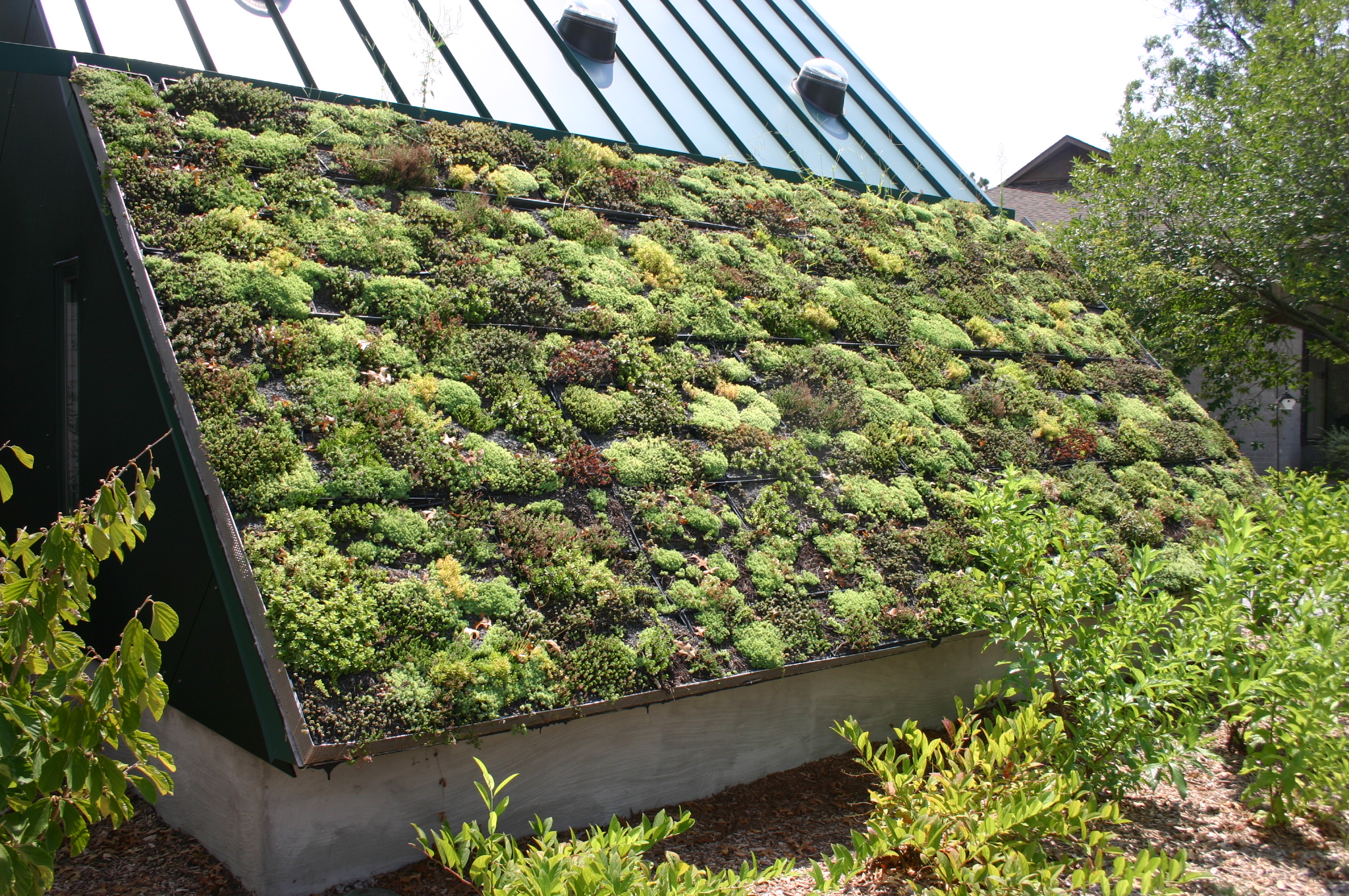 green roof