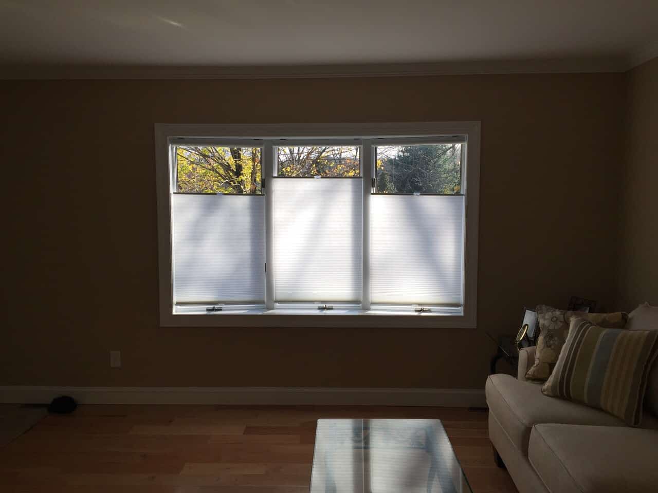 sun filter blinds