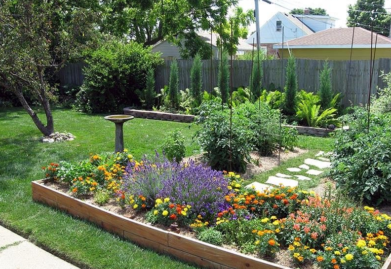 Reasons To Find Experienced Garden Maintenance Services In Tweed Heads