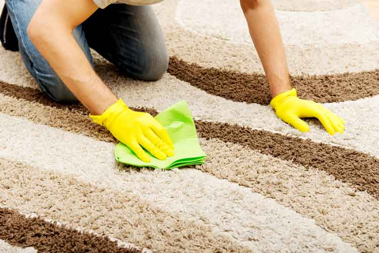 How To Determine Which Carpet Cleaning Supplies Will Be Suitable For You?