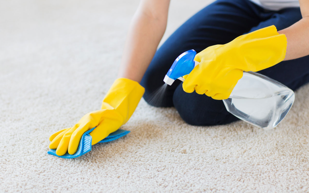 carpet cleaning supplies