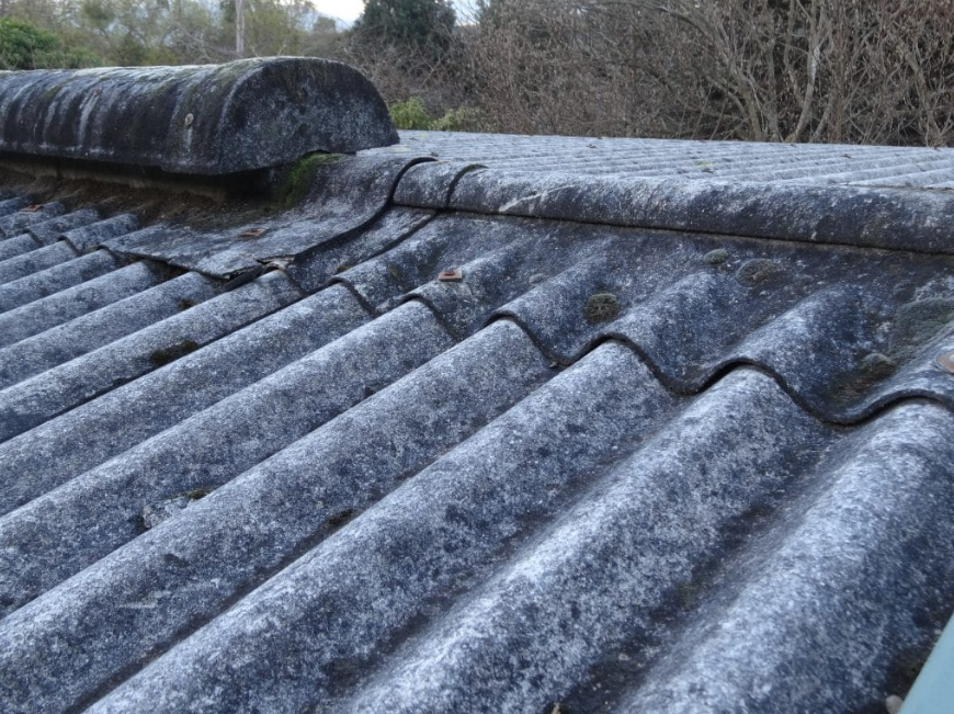 Tips for Ensuring Safe Asbestos Removal From Your Roof