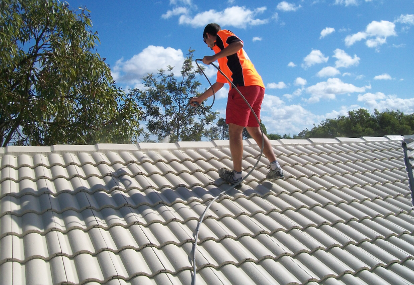 Roof painting services