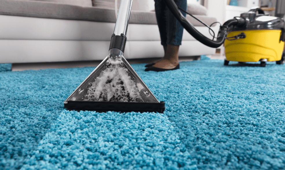  carpet cleaning services 