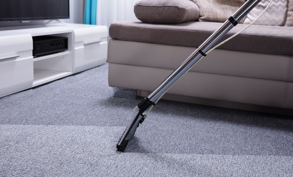 Choosing Effective Carpet Cleaning Services For Pest Control