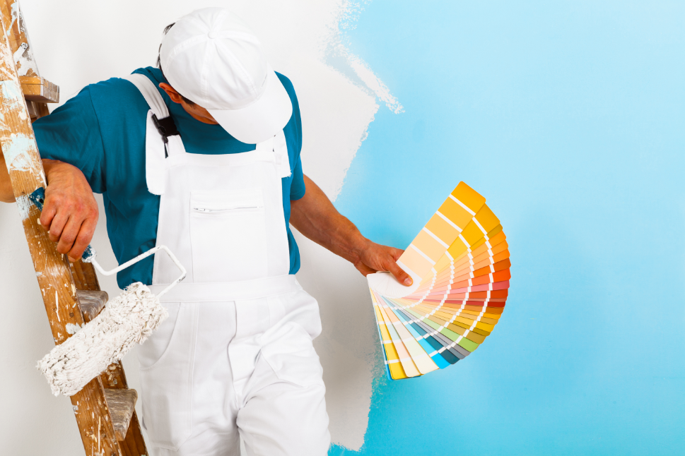 Top 5 Tips to Find the Best Home Painter in Nelson
