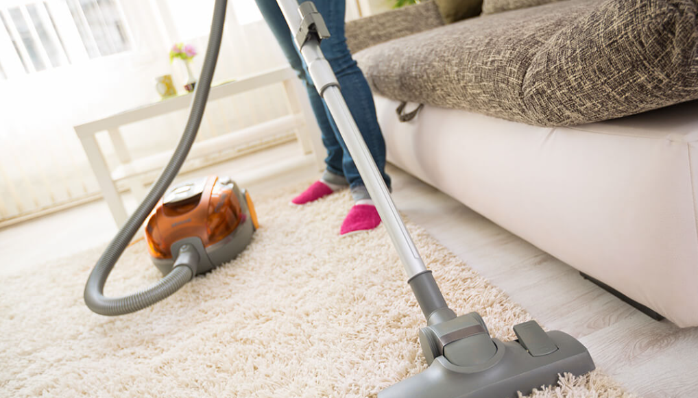 How Carpet Cleaning Companies in Auckland Enhance Your Office