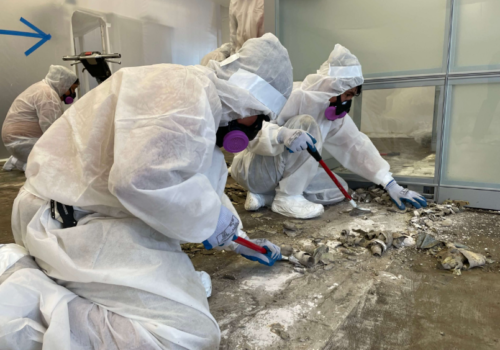 Common Misconceptions About Asbestos Removal in Auckland Debunked