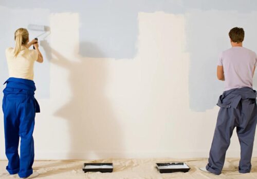 Why Do You Need To Hire Painter Nelson?