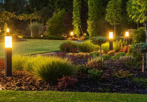 Auckland Winters Are the Best Argument for Outdoor Garden Lighting